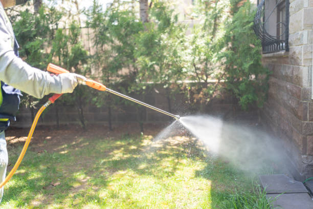 Best Bee and Wasp Removal  in Water Valley, MS